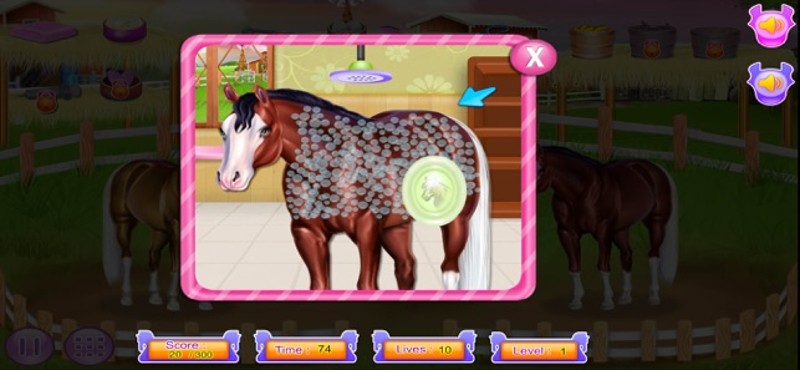 Horse and pony caring game screenshot