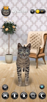 My Kitten (Cat Simulator) Image
