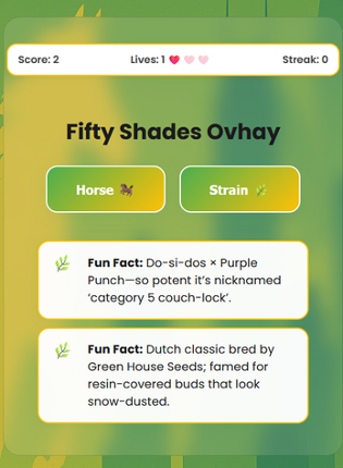 Racehorse or Weed Strain Image