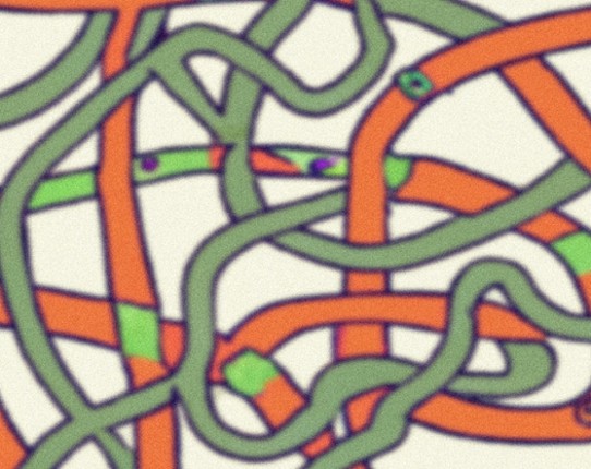 RETROUVER LA MAISON Image