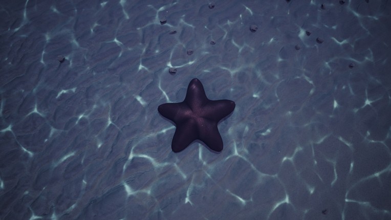 Starfish Simulator screenshot
