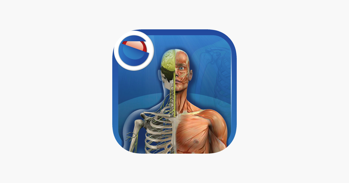 Games like The Human Body Clementoni