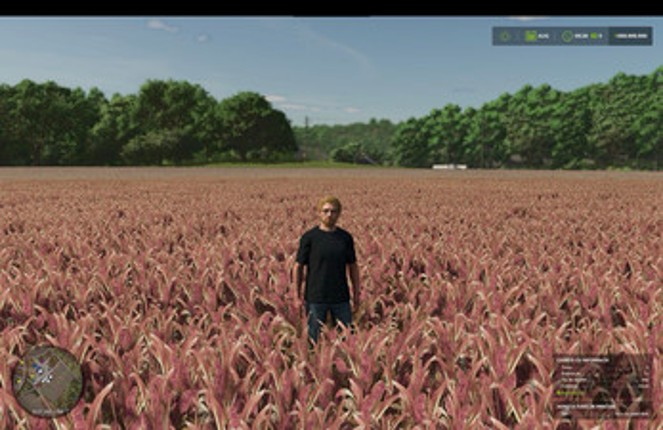 FS25 Millet (prefab) Image