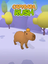 Capybara Rush Image