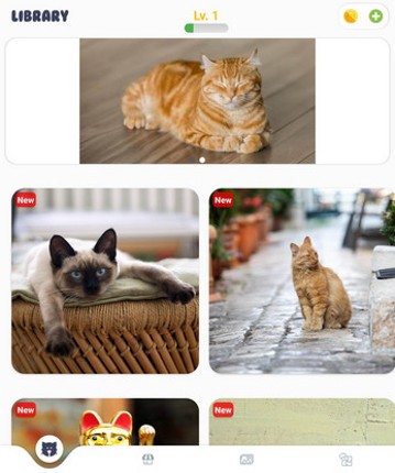 Jigsaw Galaxy: Cats Edition screenshot