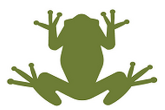 Frog Slalom Image