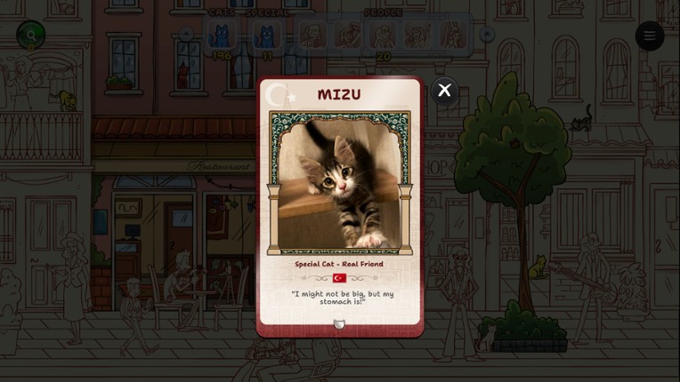Hidden Cats in Istanbul screenshot