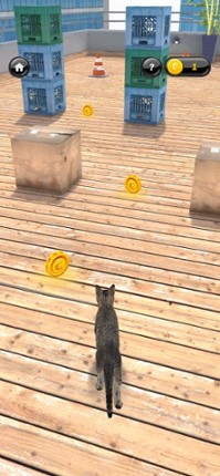 My Kitten (Cat Simulator) Image