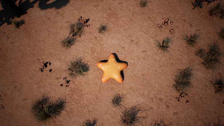 Starfish Simulator screenshot