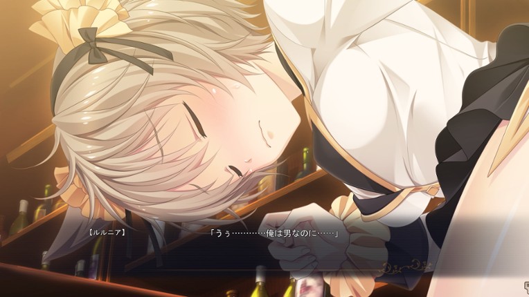 The Pillagers of Raillore screenshot