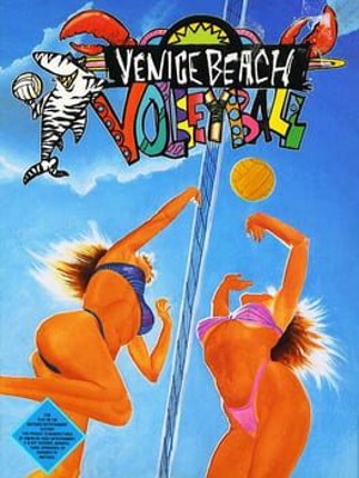 Venice Beach Volleyball Image