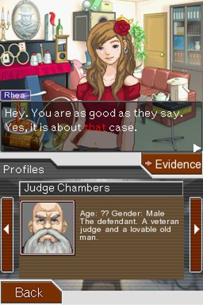 Apollo Justice: Turnabout Substitution Image