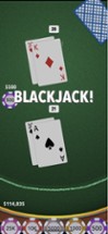 Blackjack Masters - Learn 21 Image