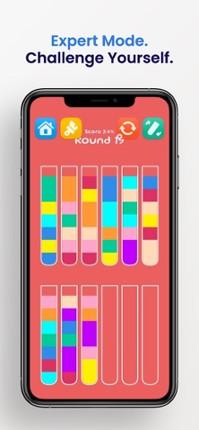 Color Ball Sort Puzzle - screenshot