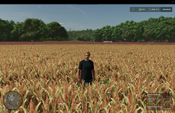 FS25 Millet (prefab) screenshot