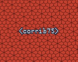 <corrib75> Image