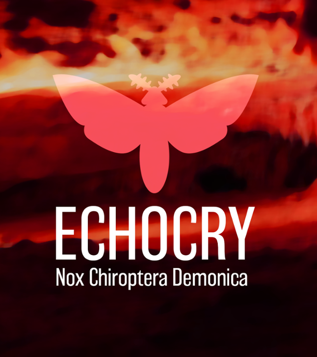 Games like Echocry: Nox Chiroptera Demonica