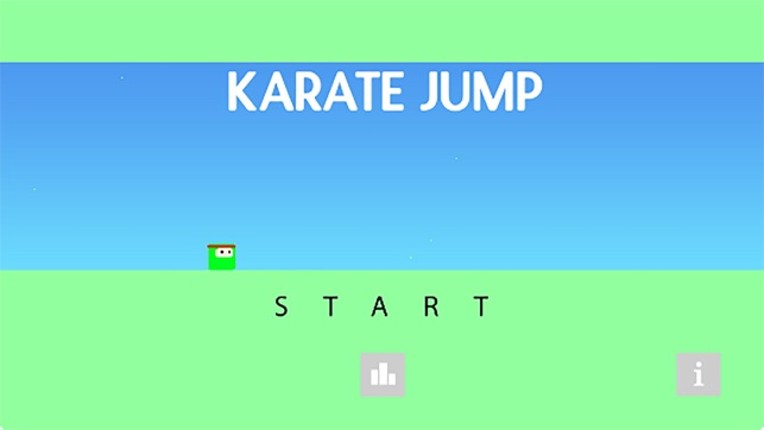 Karate Jump Image