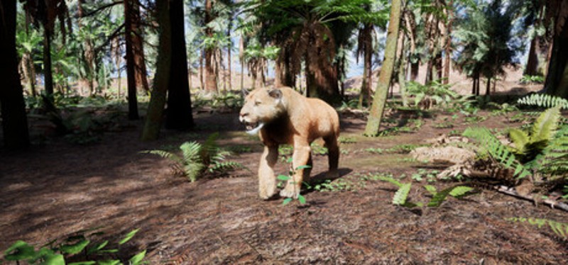 Redwood Trails Image