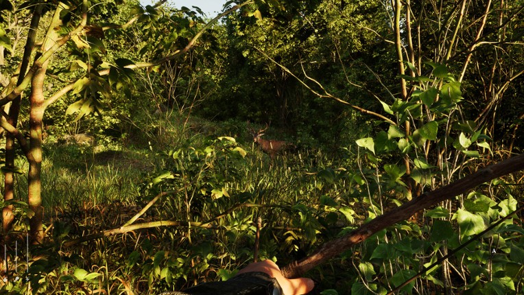 Forest Doesn’t Care screenshot