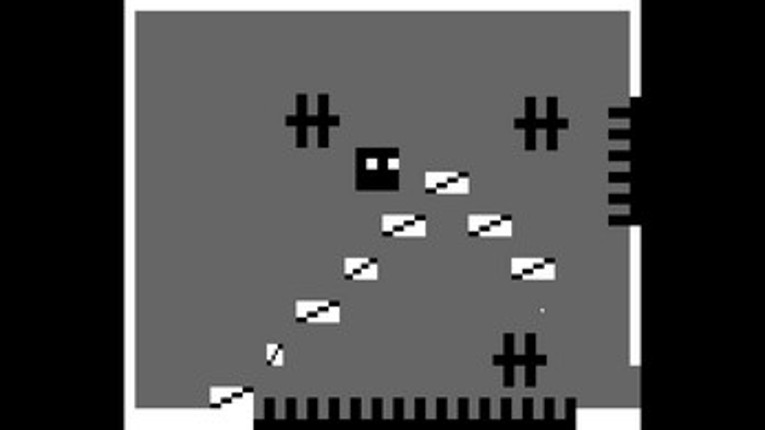 Linkids Image