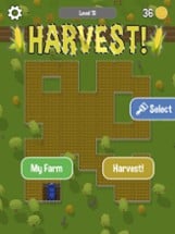 Harvest time! Image