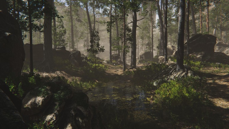 Herbalist Roman screenshot