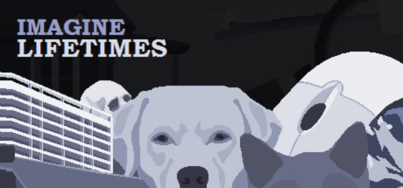 Imagine Lifetimes Image