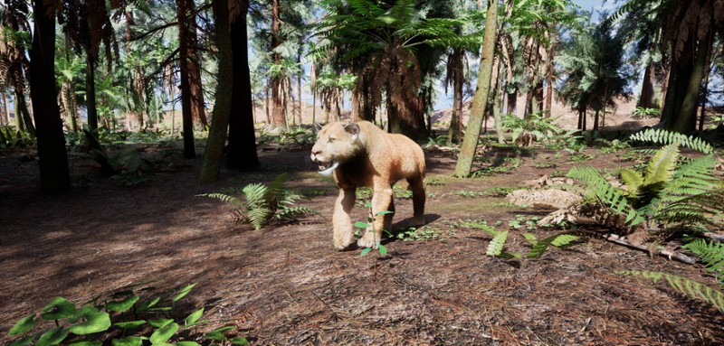 Redwood Trails Image