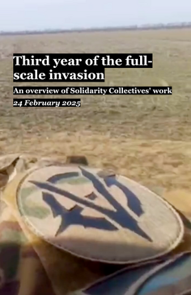 An overview of Solidarity Collectives' work [Feb 2025] screenshot