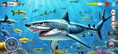 Angry Shark Simulator Games 3d Image