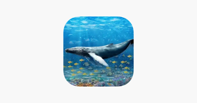 Blue Whale Survival Challenge Image