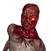 Fleshface Image