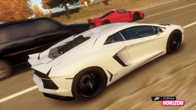 Forza Horizon Image