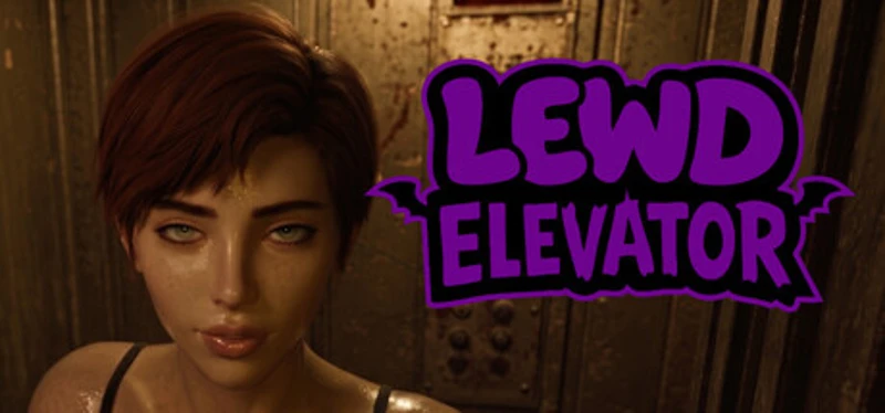 Lewd Elevator Image
