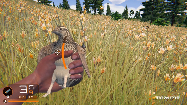 Birds Hunter Image