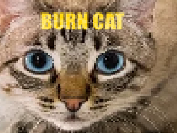 Burn Cat Image