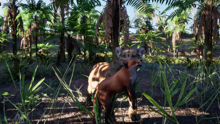 Redwood Trails Image