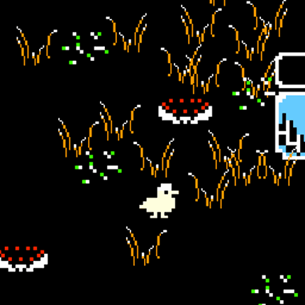 Super Duck Adventure With Friends Image