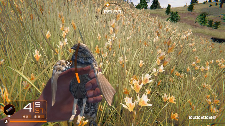 Birds Hunter Image