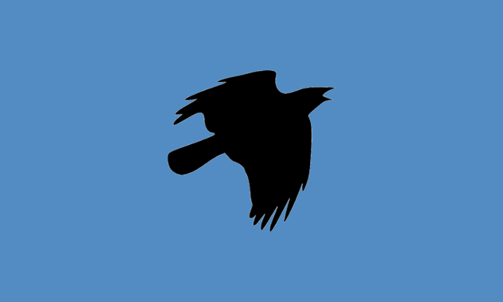 Flappy TV Image