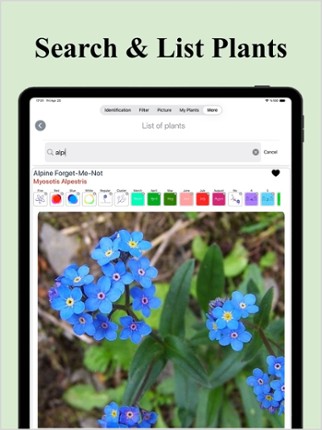 Forest Plant Identification Image