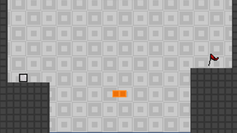 This Developer is an idiot! screenshot