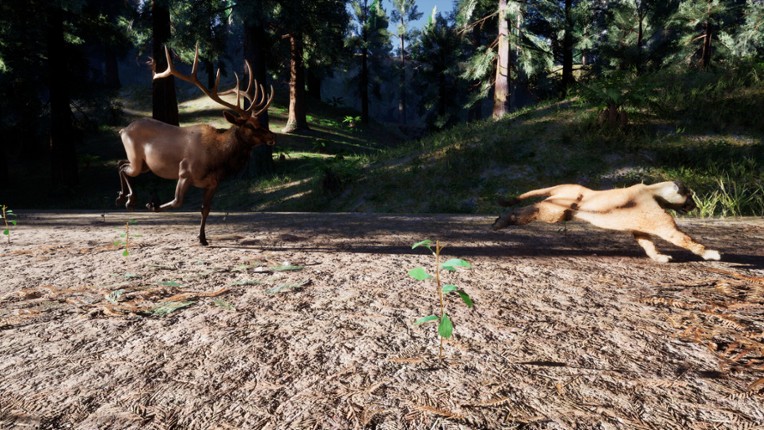 Redwood Trails screenshot