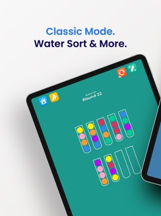 Color Ball Sort Puzzle - screenshot