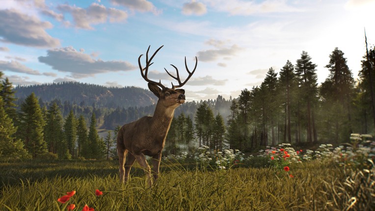 Way of the Hunter 2 screenshot