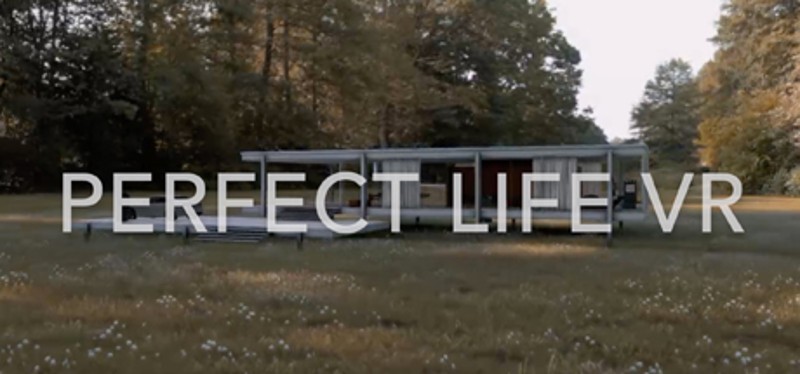 Perfect Life VR Game Cover