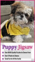 Puppy Play Jigsaw Puzzle Touch Party Image