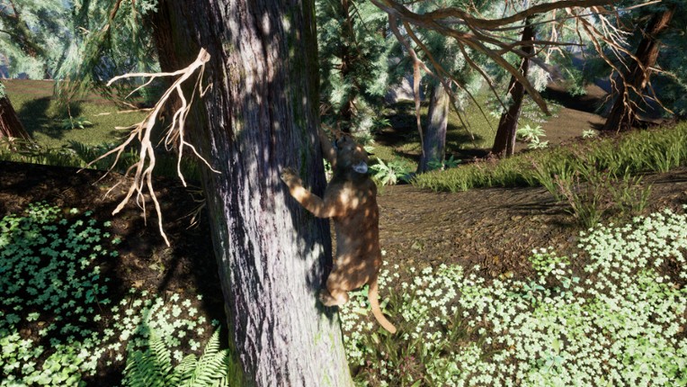 Redwood Trails screenshot