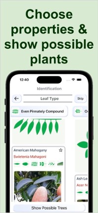 Forest Plant Identification Image